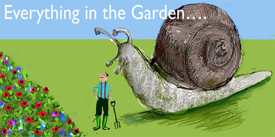 Giant snail comes up behind gardener