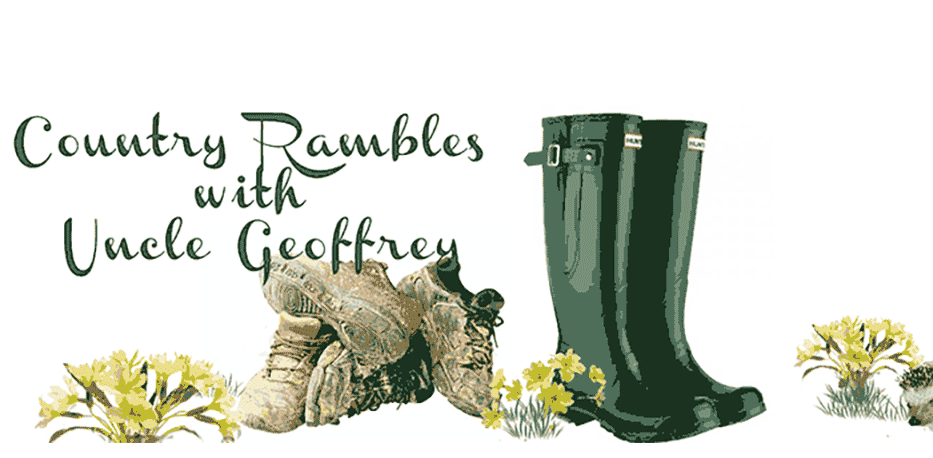Country Rambles with Uncle Geoffrey