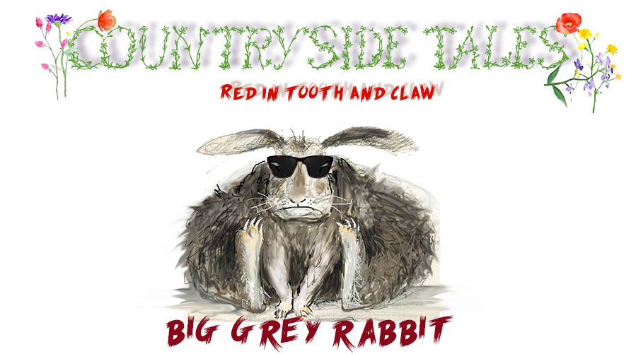 Waiting for Stoppard