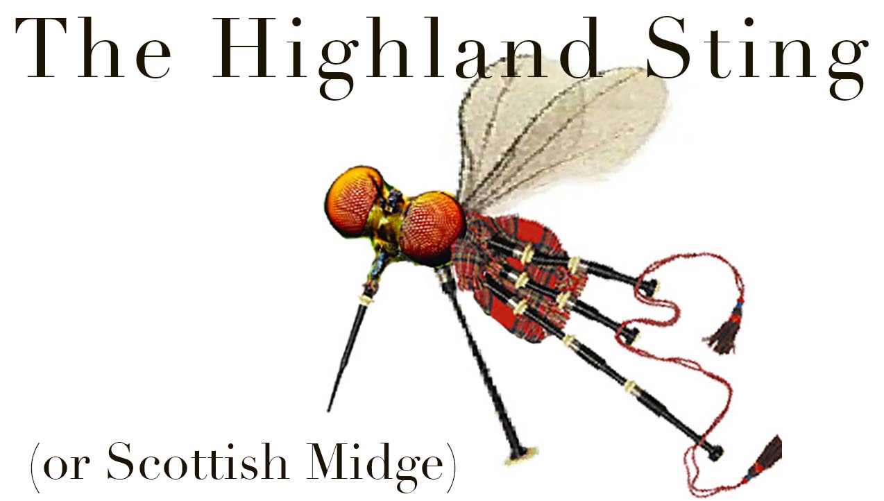 Scottish Midge